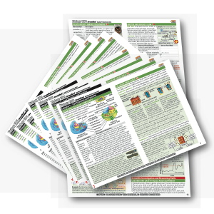 Biology EOC Streamlined SCNs Booklet